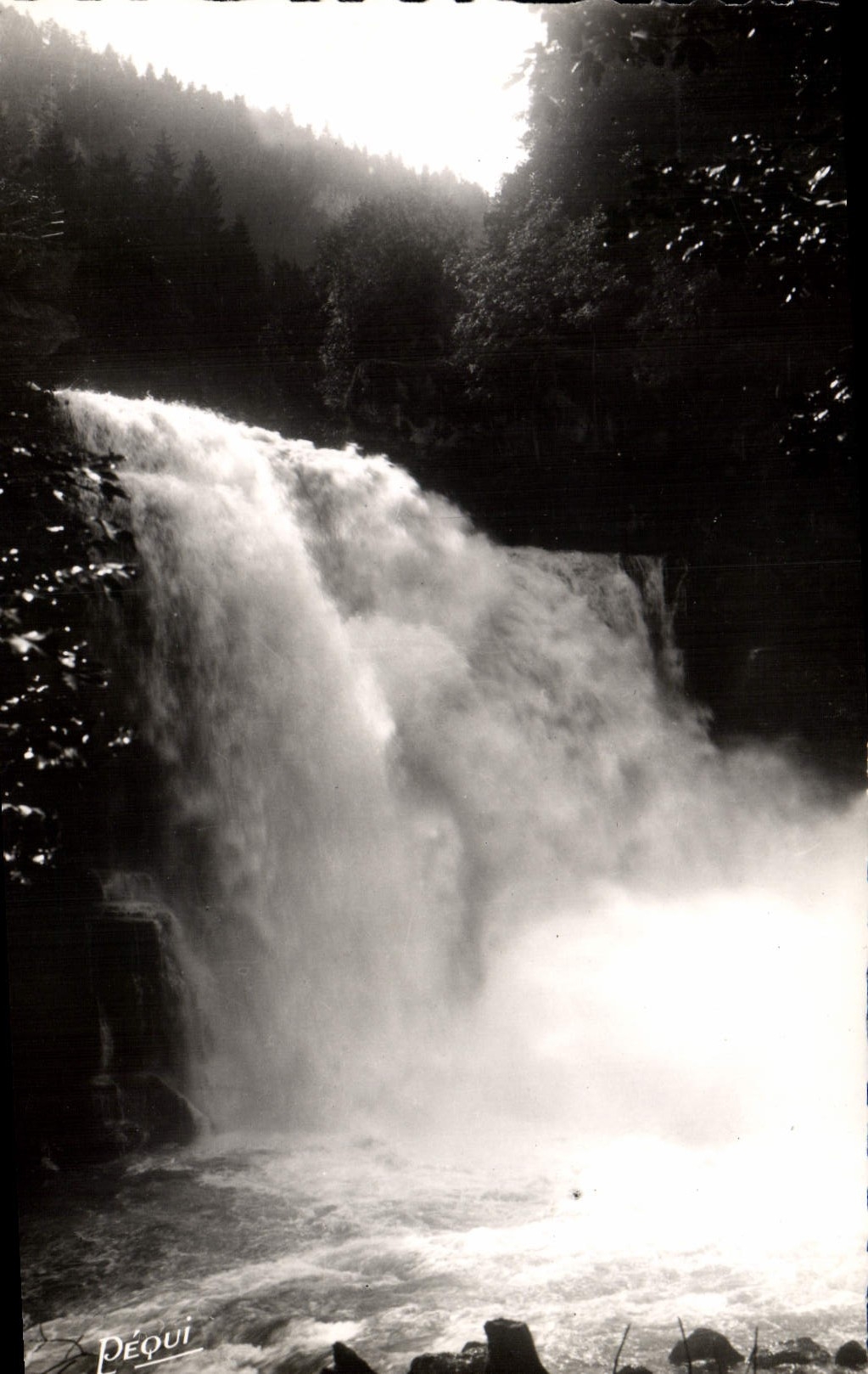 MODERN CARD Frank Count the Jump Of Doubs