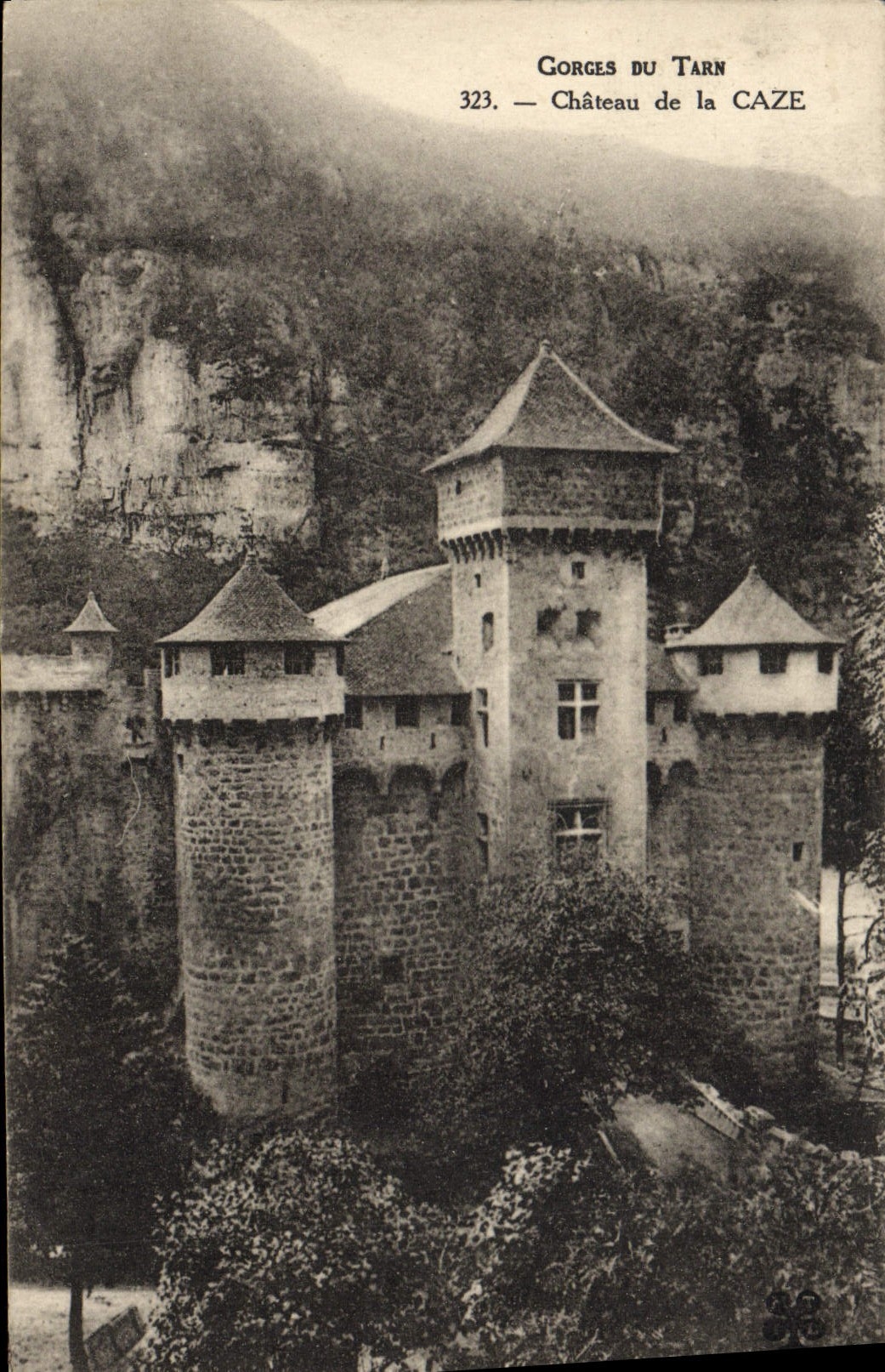 CPA Gorges Du Tarn Chateau De La Caze