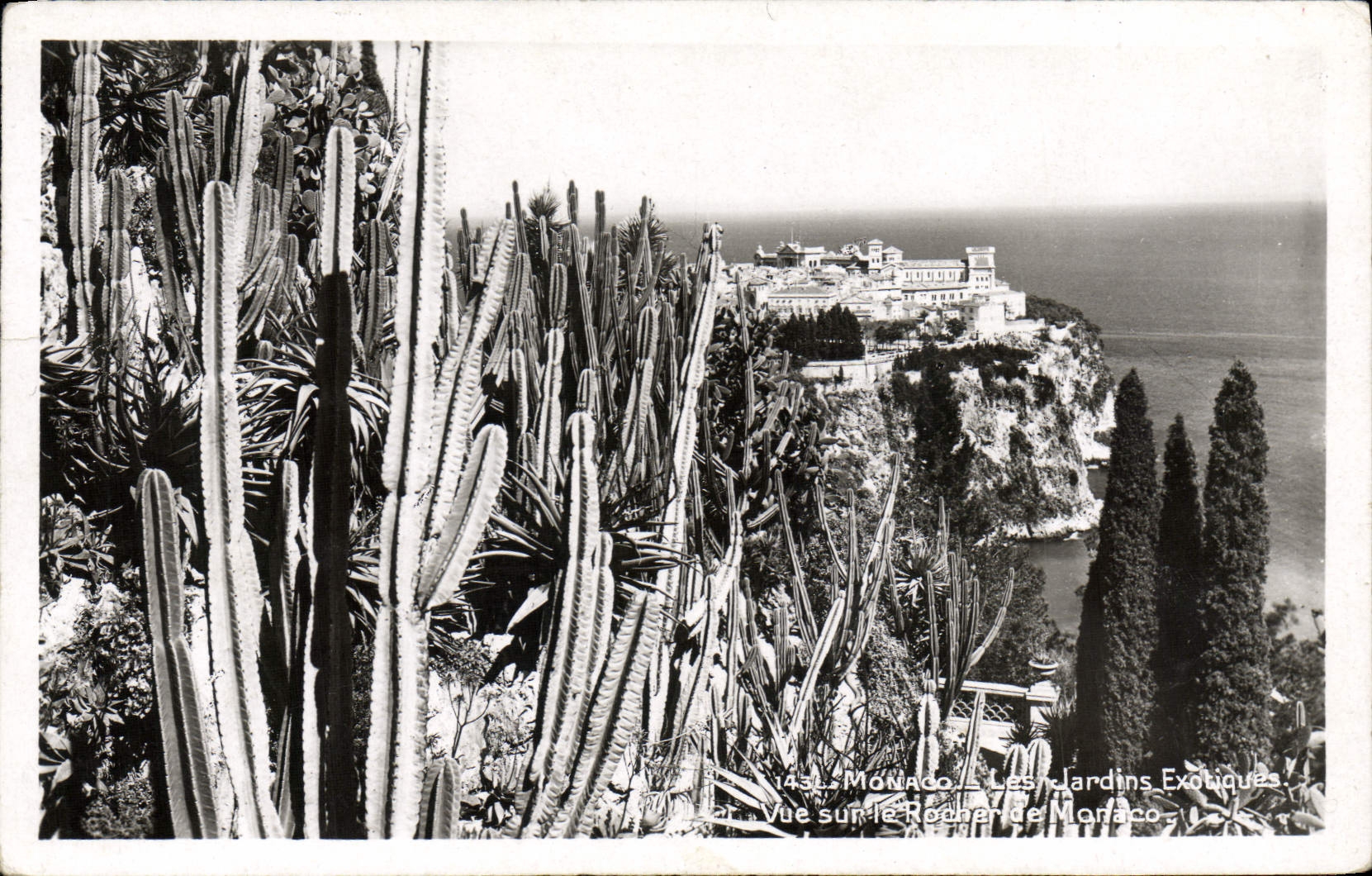 VINTAGE POSTCARD Monaco Exotic Gardens Sight on the rock