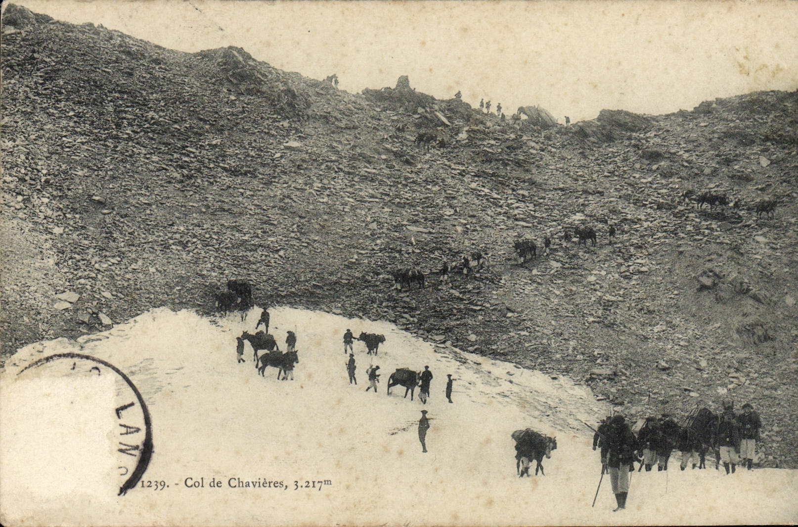CPA Col De Chavieres Ane Mule Chasseurs Alpins Militaria
