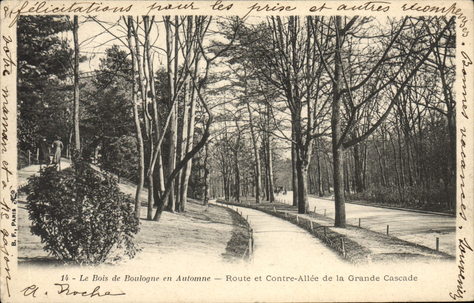 VINTAGE POSTCARD Paris the Bois de Boulogne In autumn Road and against alley of the large cascade