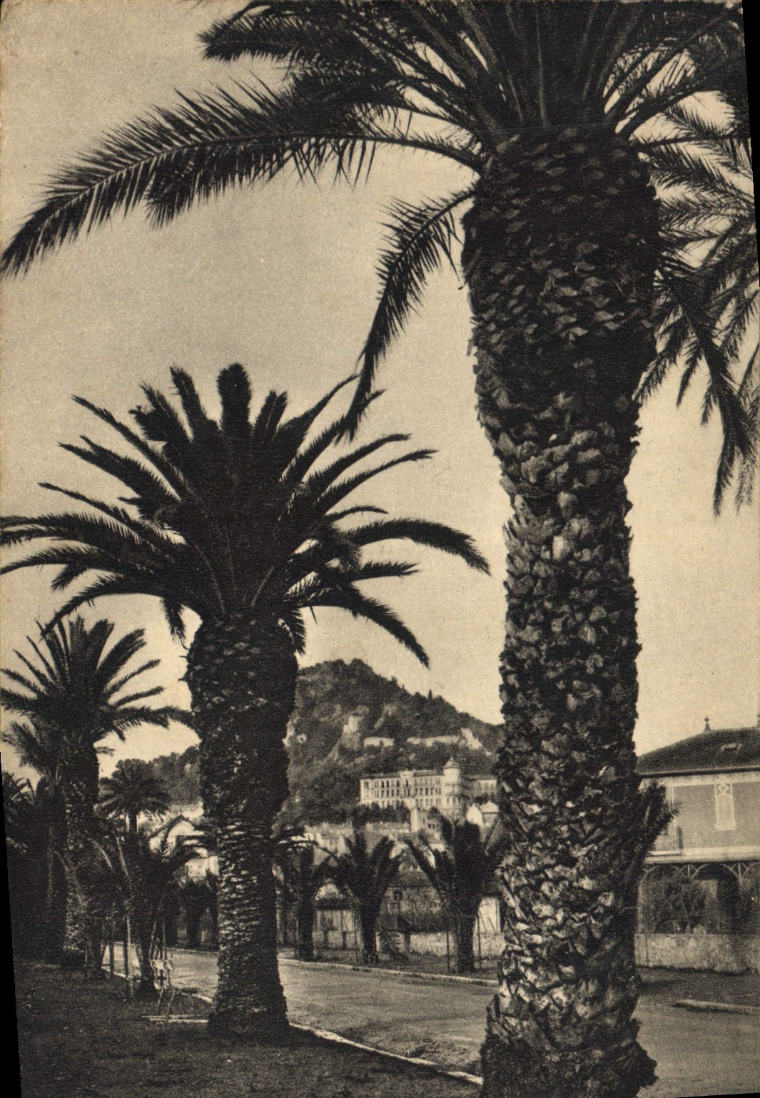Avenida de Hyeres Godillot de la POSTAL de la VENDIMIA
