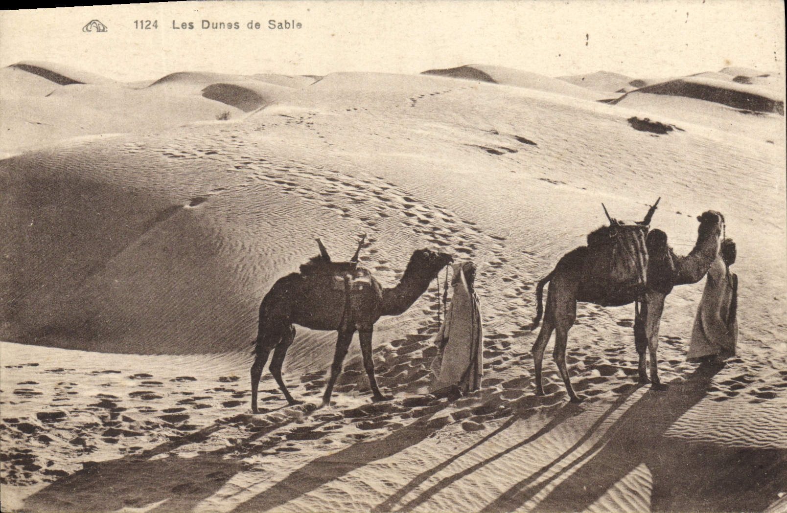 VINTAGE POSTCARD sand dunes Camel