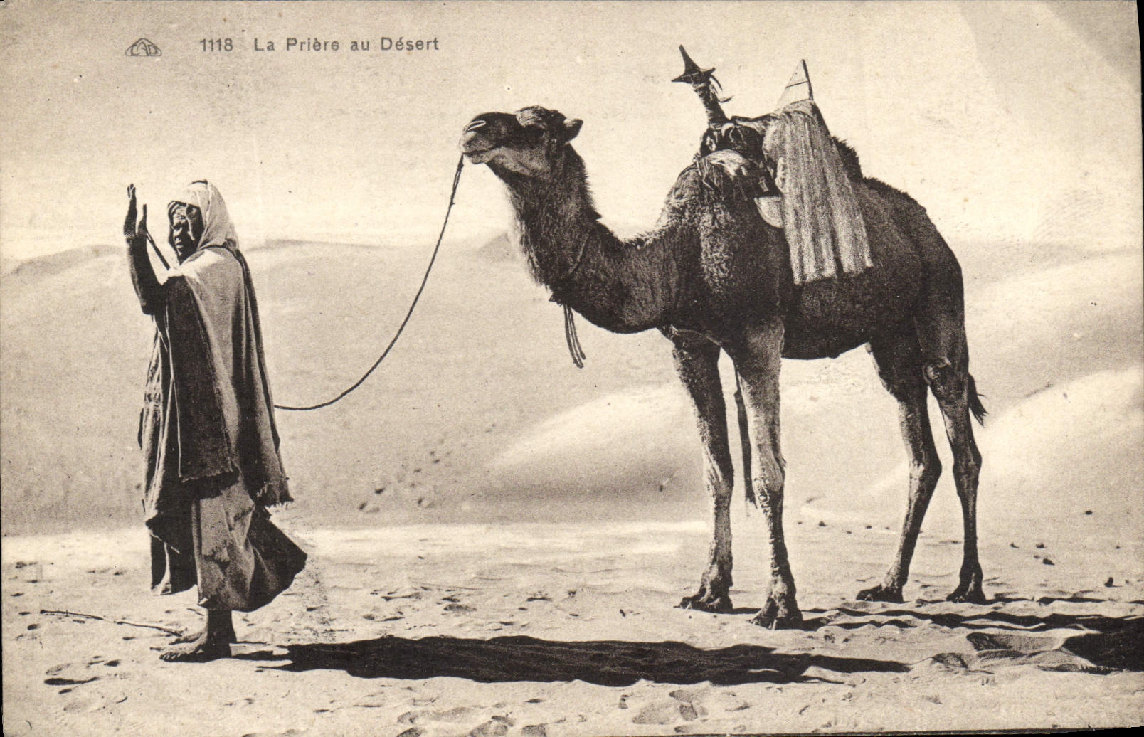 CPA Chameau La Priere Au Desert