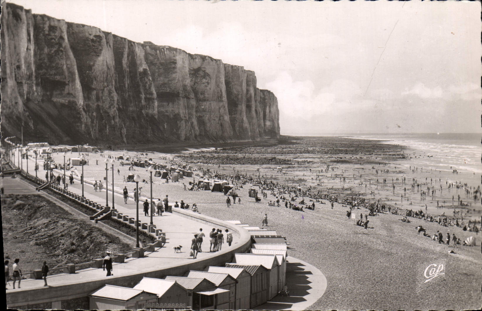 CPM Le Treport La Digue Promenade