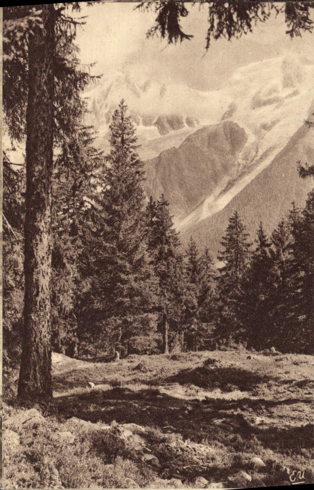 CPA Alpes Francaises Vallee de Chamonix Clairiere