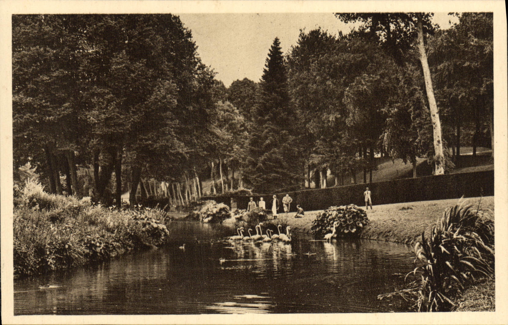 VINTAGE POSTCARD Zoological gardens De Cleres Garden Flamingos Zoo