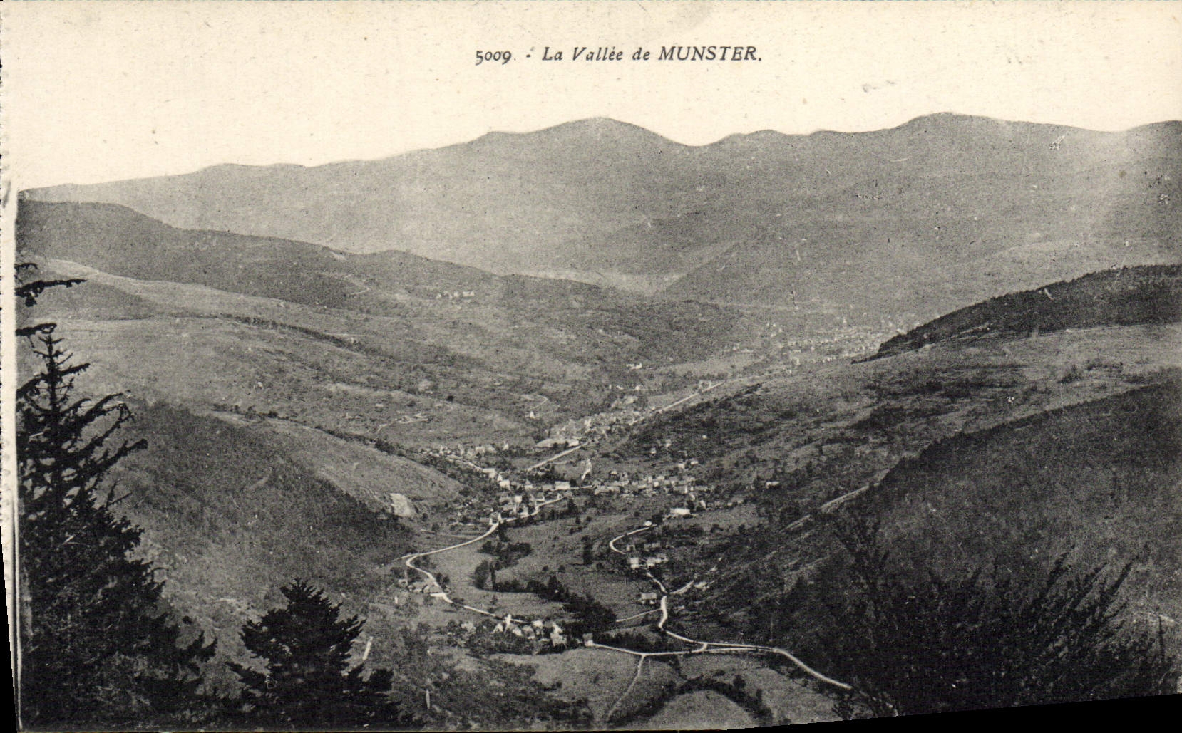 VINTAGE POSTCARD the Valley De Munster