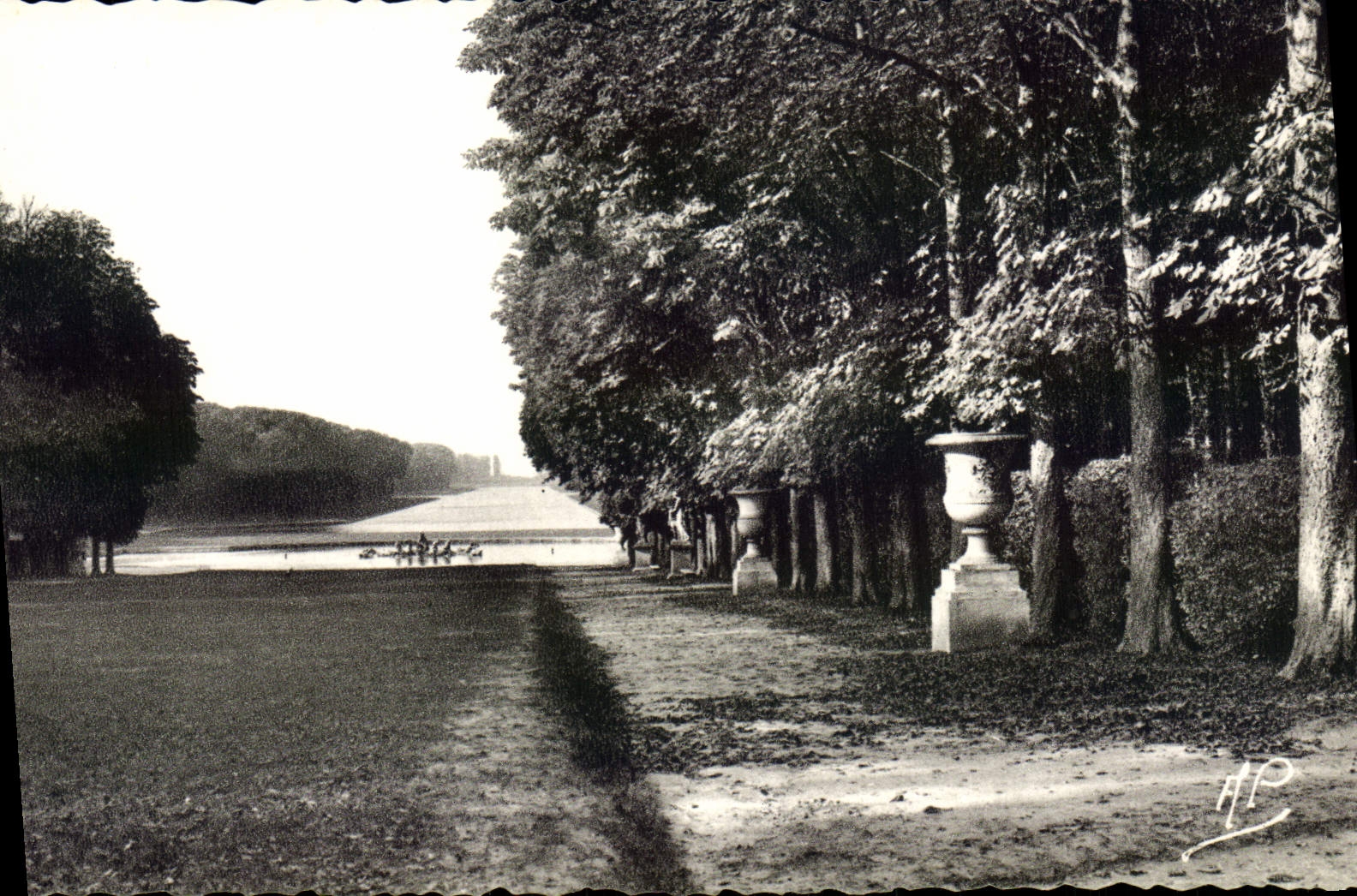 VINTAGE POSTCARD Versailles the green carpet and the large canal