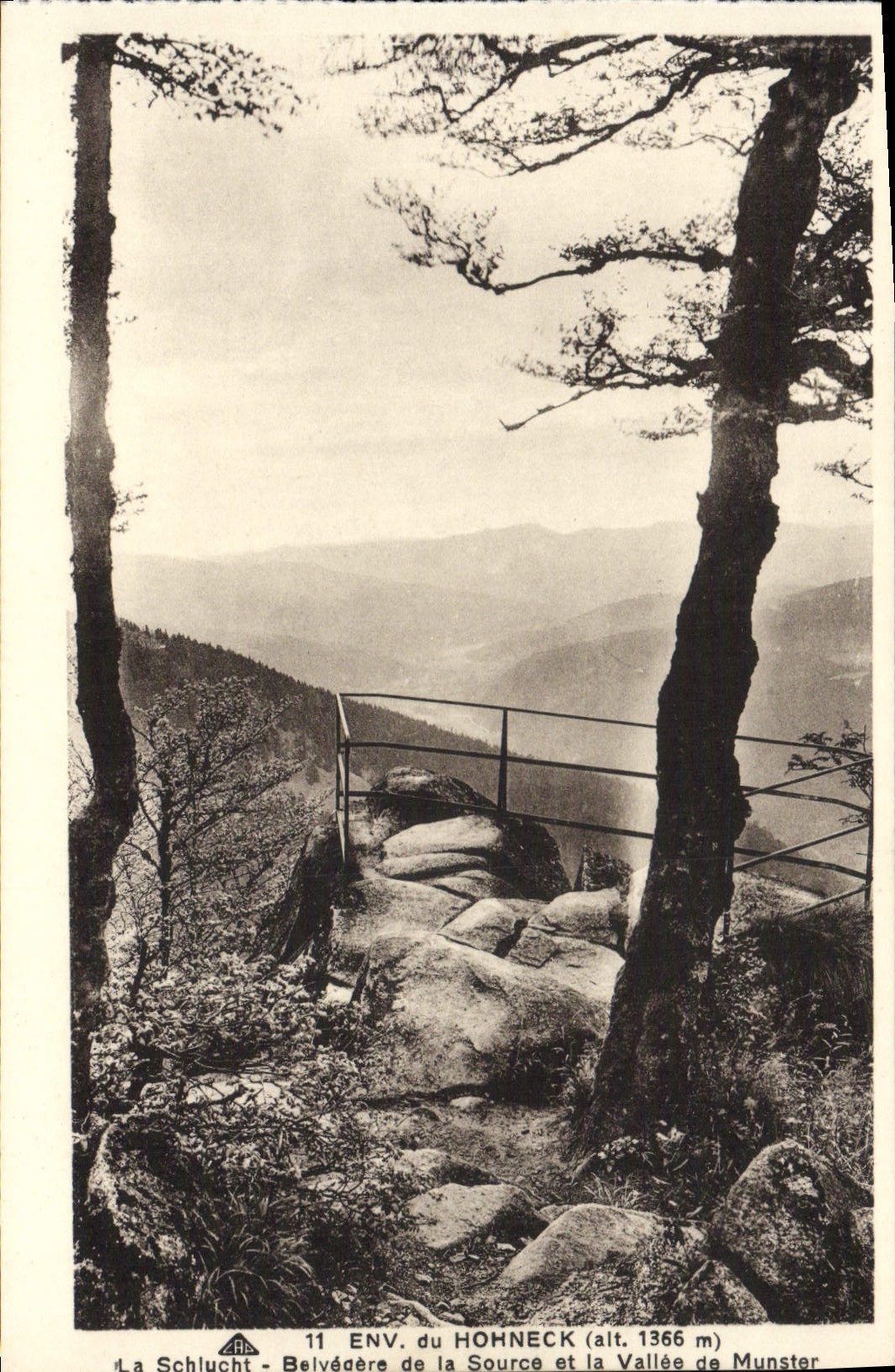 VINTAGE POSTCARD Surroundings of Hohneck Schlucht View-point of the source and the valley of Munster