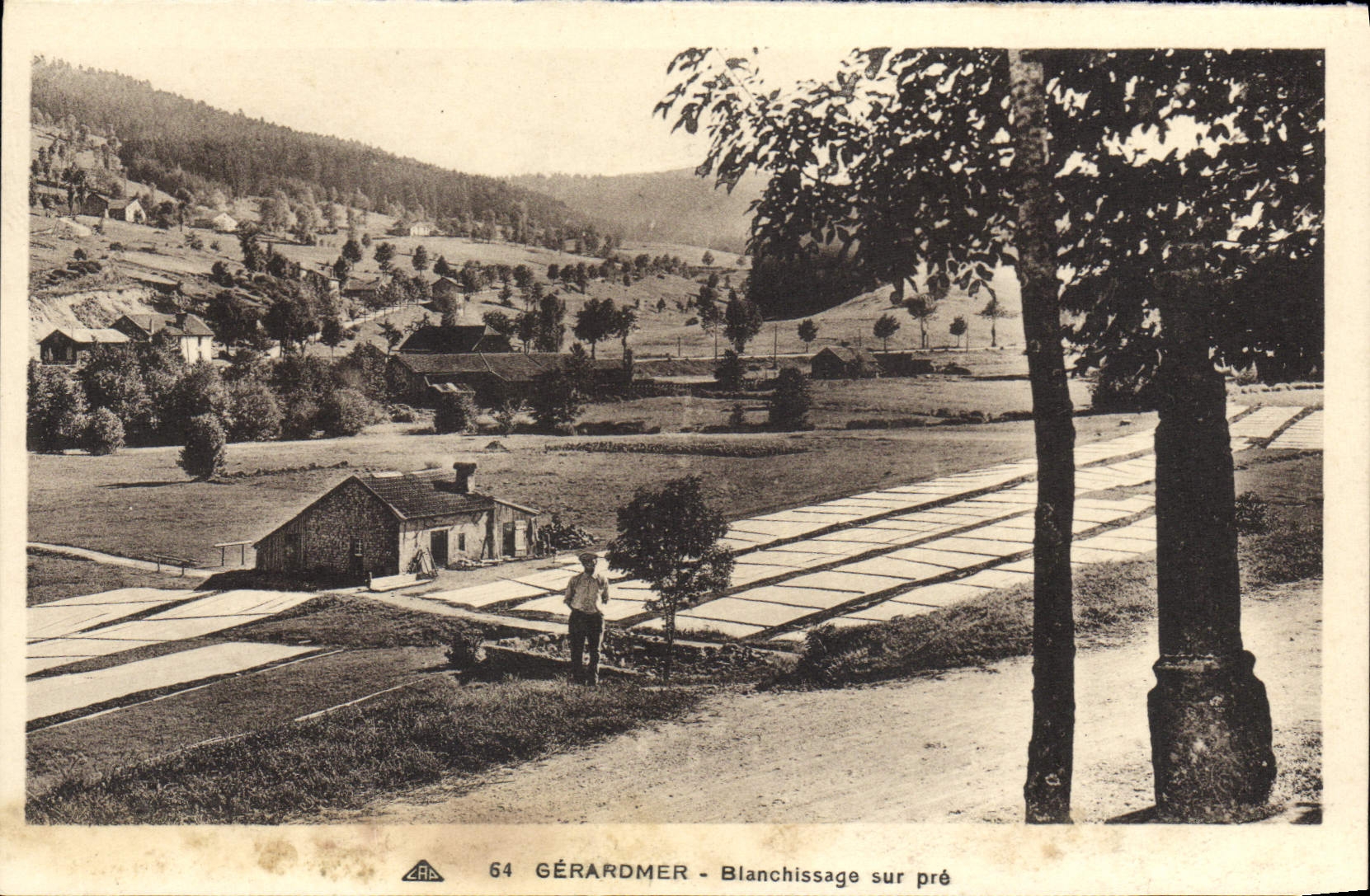 VINTAGE POSTCARD Gerardmer Washing on Pre