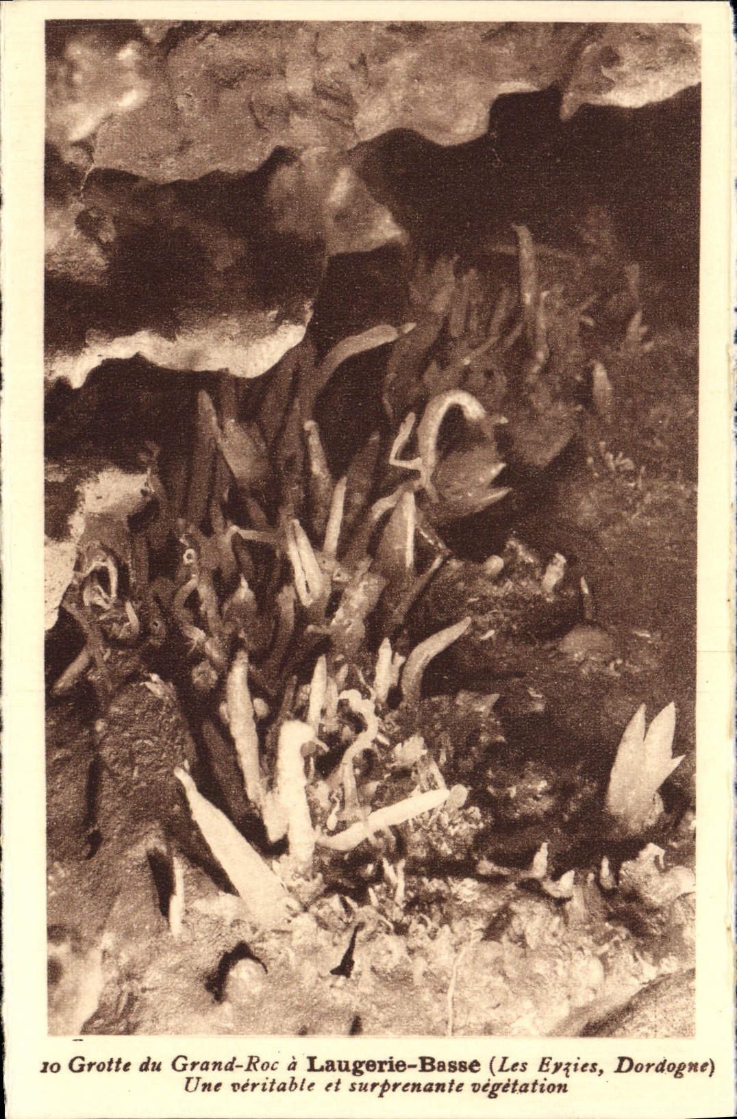 CPA Laugerie Basse Grotte du Grand Roc Les Eyzies Prehistoire