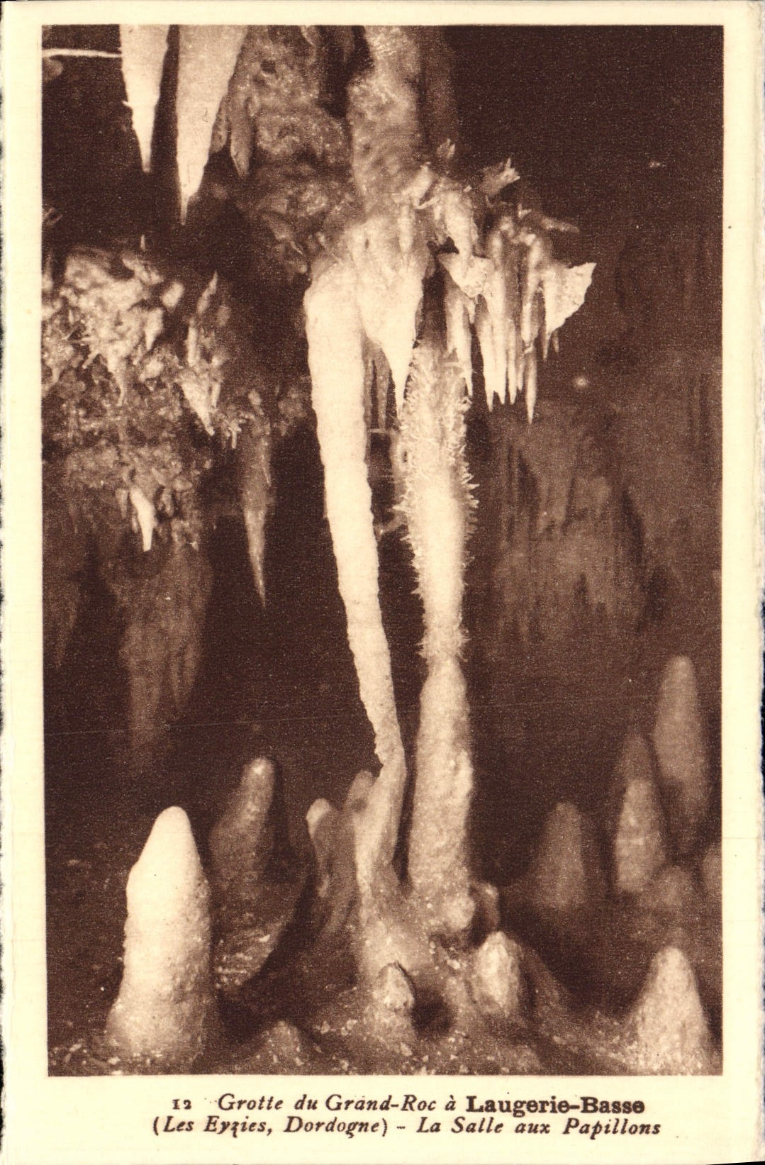 CPA Laugerie Basse Grotte du Grand Roc La salle aux papillons Prehistoire Les Eyzies