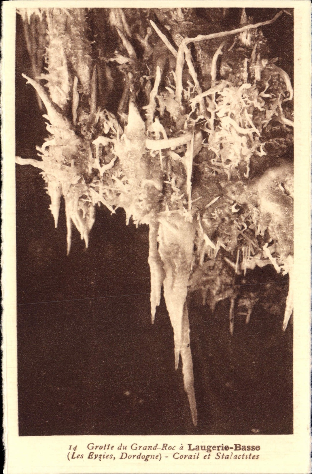 CPA Laugerie Basse Grotte du Grand Roc Corail et stalactites Les Eyzies Prehistoire