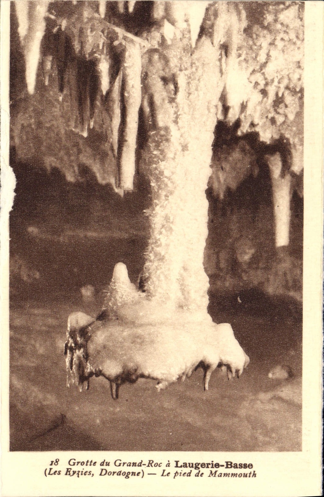 CPA Laugerie Basse Le pied de Mammouth Prehistoire Les Eyzies