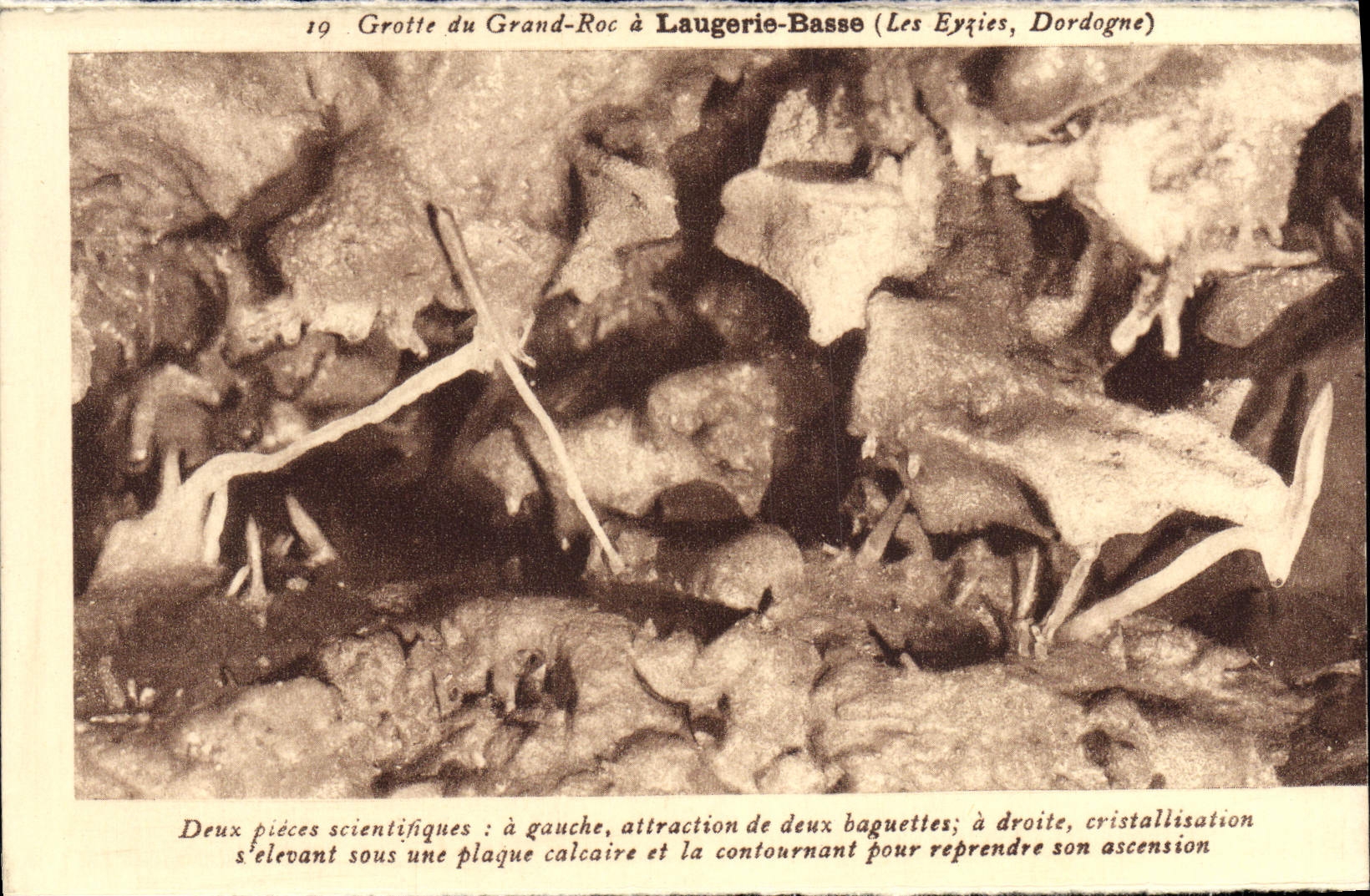 CPA Laugerie Basse Grotte du Grand Roc Cristallisation Les Eyzies Prehistoire