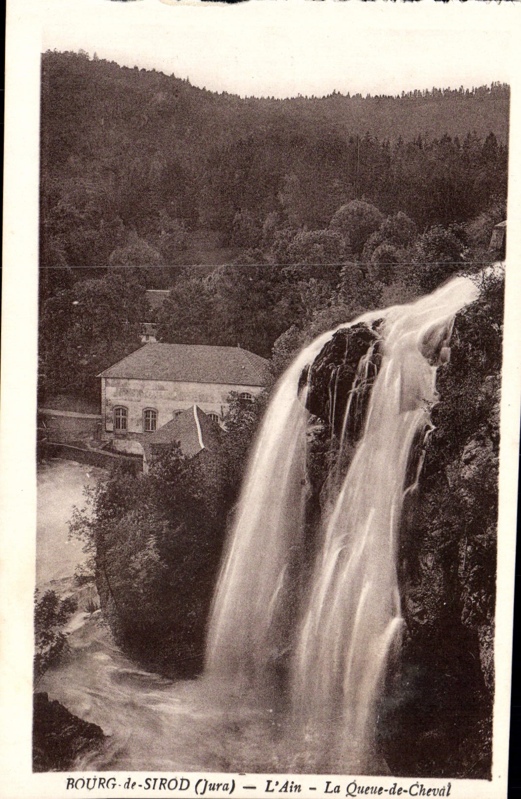 Ciudad de la POSTAL de la VENDIMIA de Sirod Ain la cola del caballo