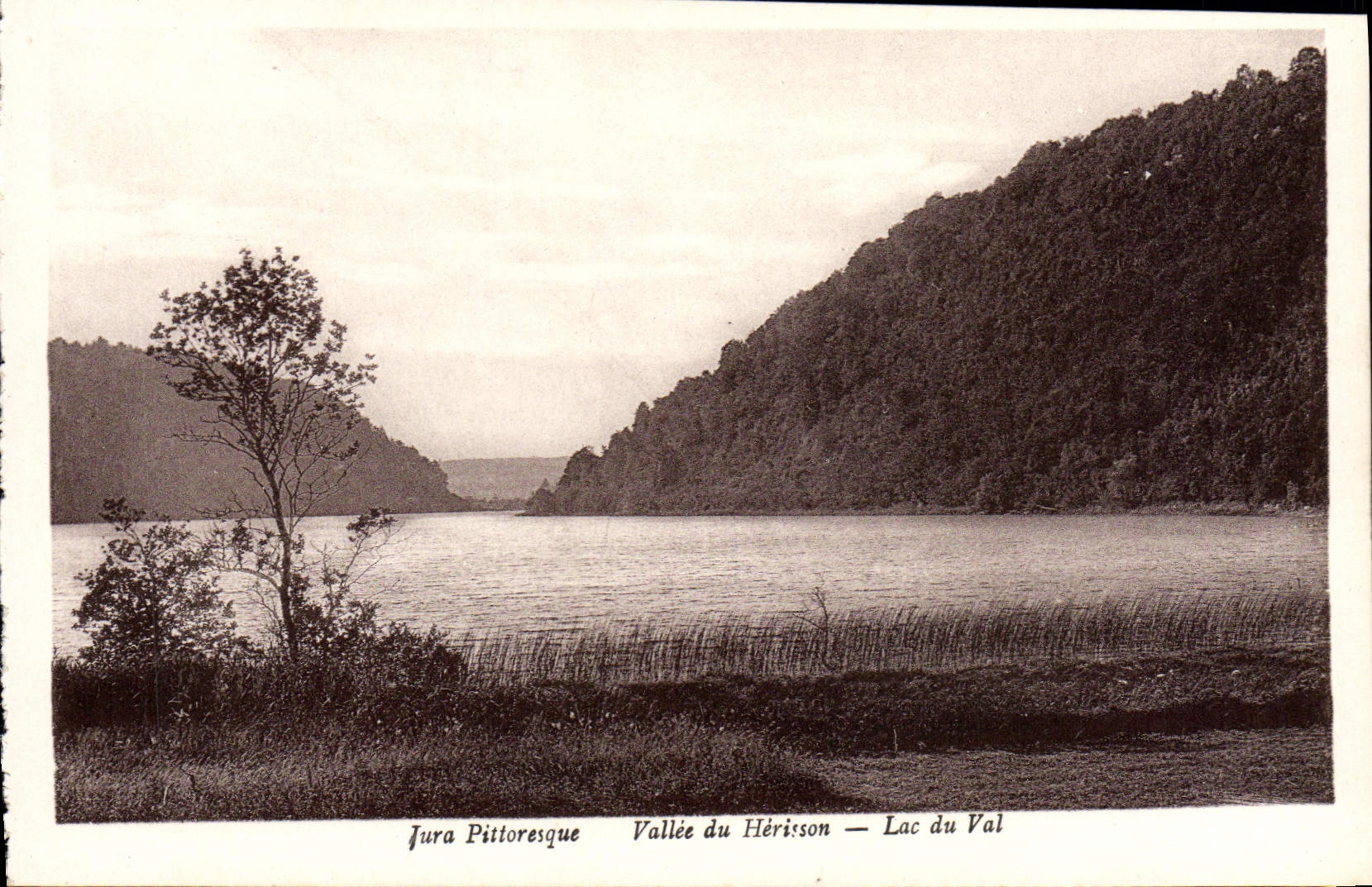 VINTAGE POSTCARD Valley of the Hedgehog Lake of the Valley