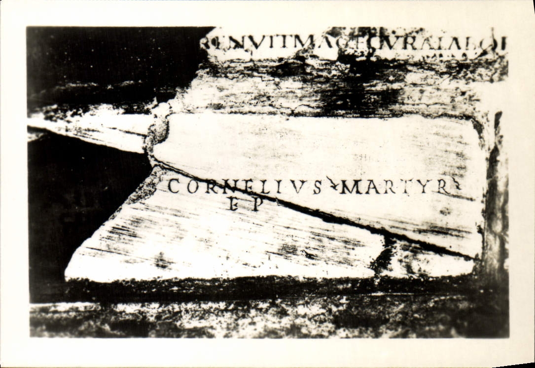 MODERN CARD Catacomb Callisto S Cornetto