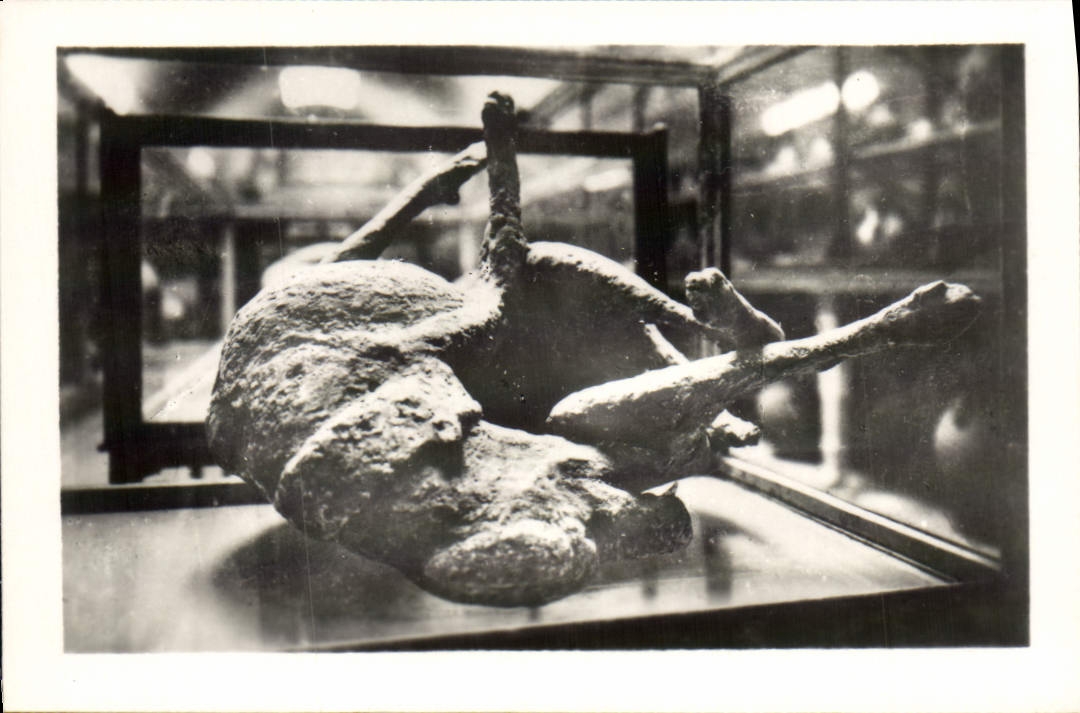 MODERN CARD Pompei Museo Calco LED Duck Dog