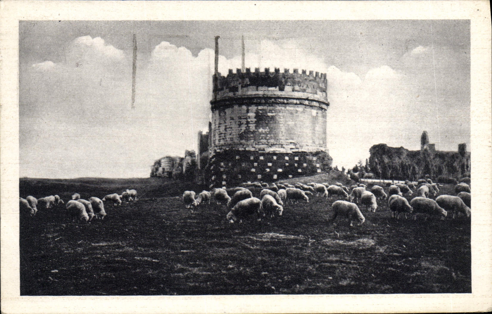 POSTAL Roma Tomban di Cecilia Matella de la VENDIMIA adentro vía ovejas del appia