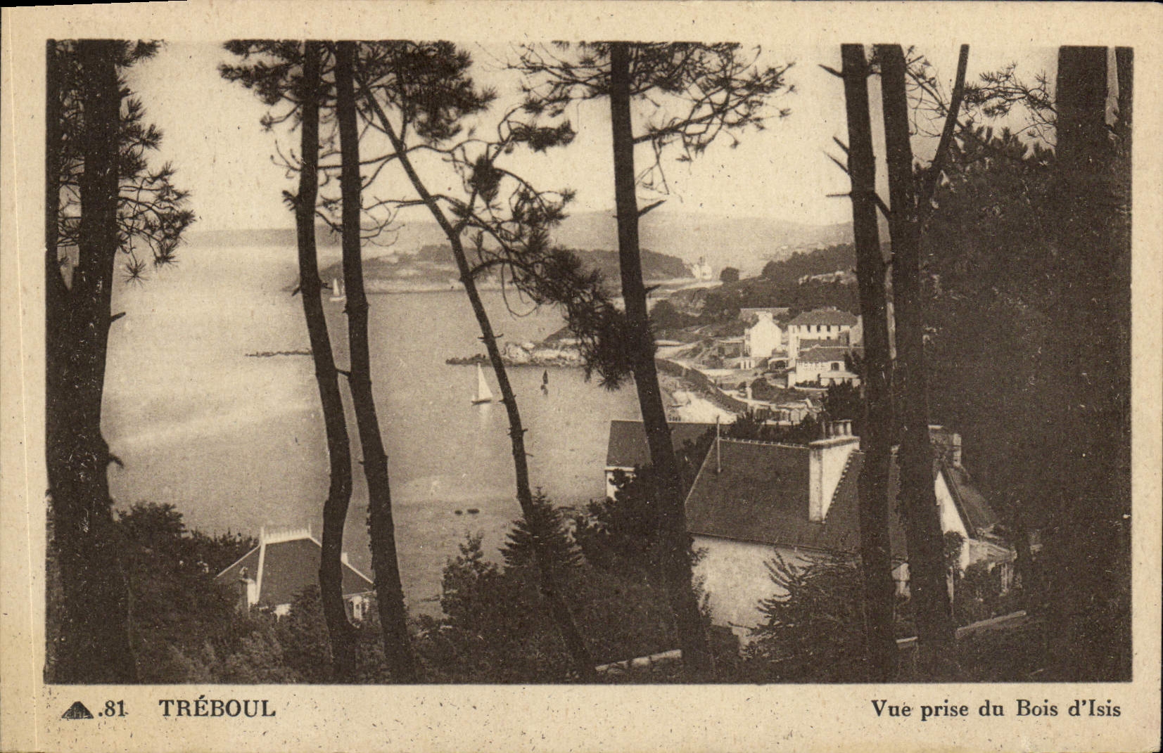 VINTAGE POSTCARD Treboul Seen from of the Wood of lsis
