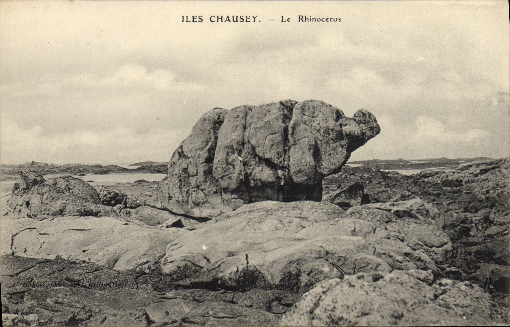 VINTAGE POSTCARD Chausey the Rhinoceros