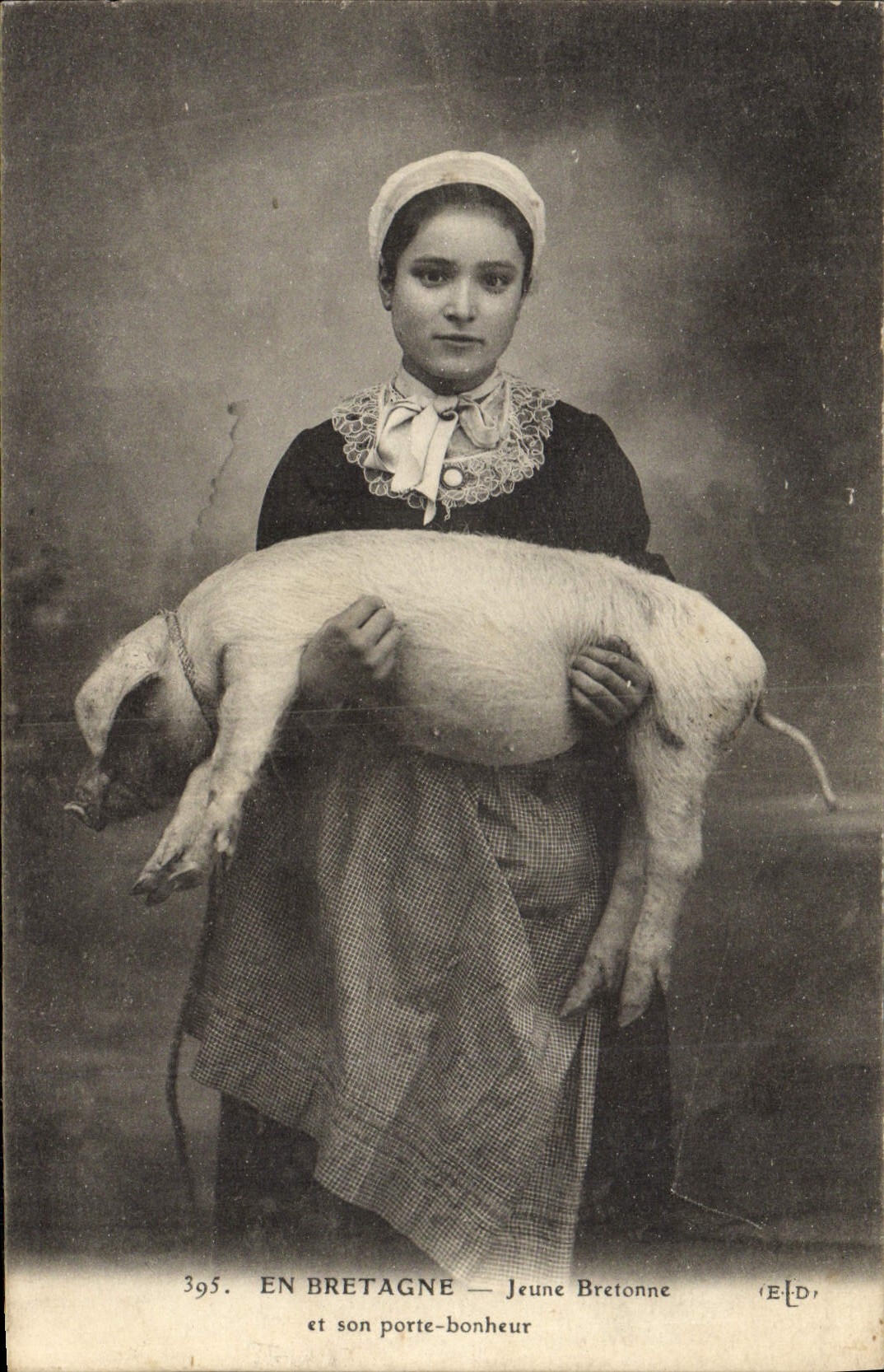 VINTAGE POSTCARD In Breton Young Brittany and its Gate happiness Pig Pig Folklore