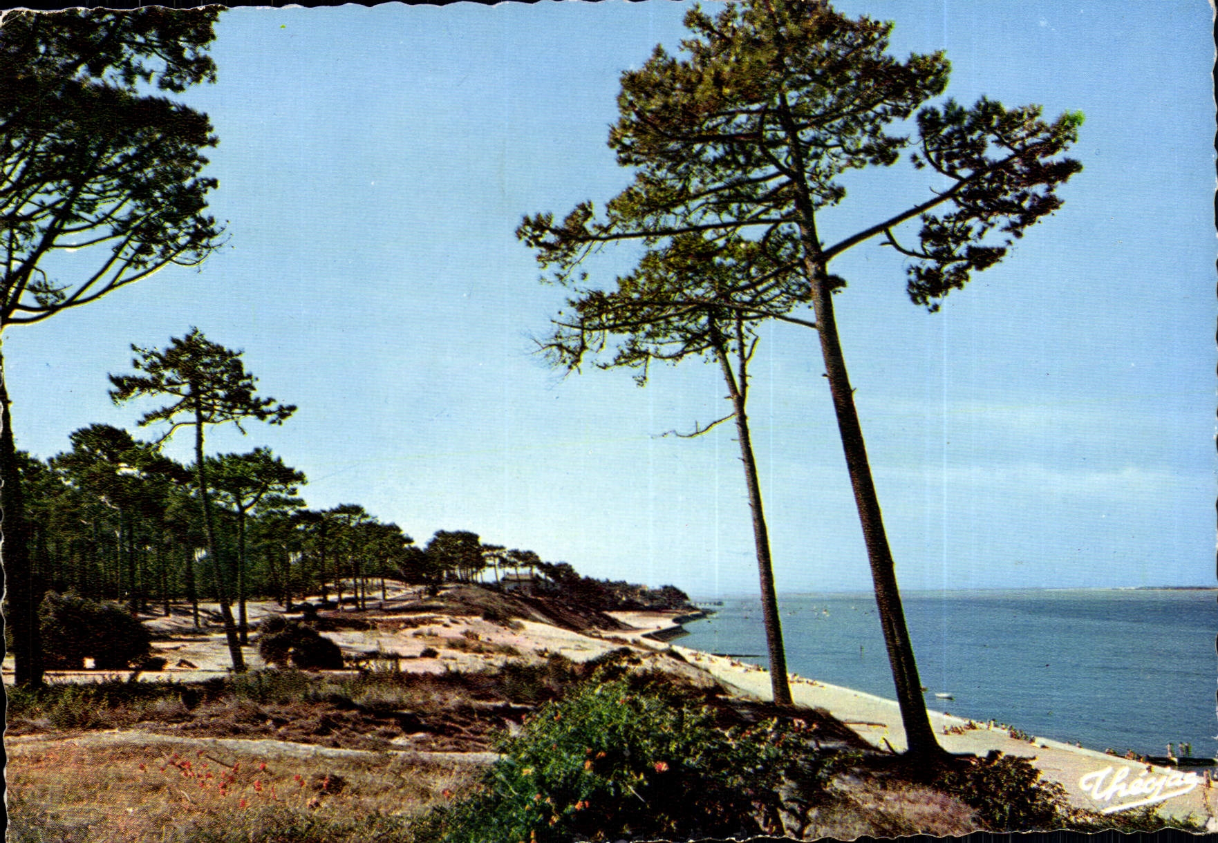 CPM Bassin D'Archachon Les Abatilles 