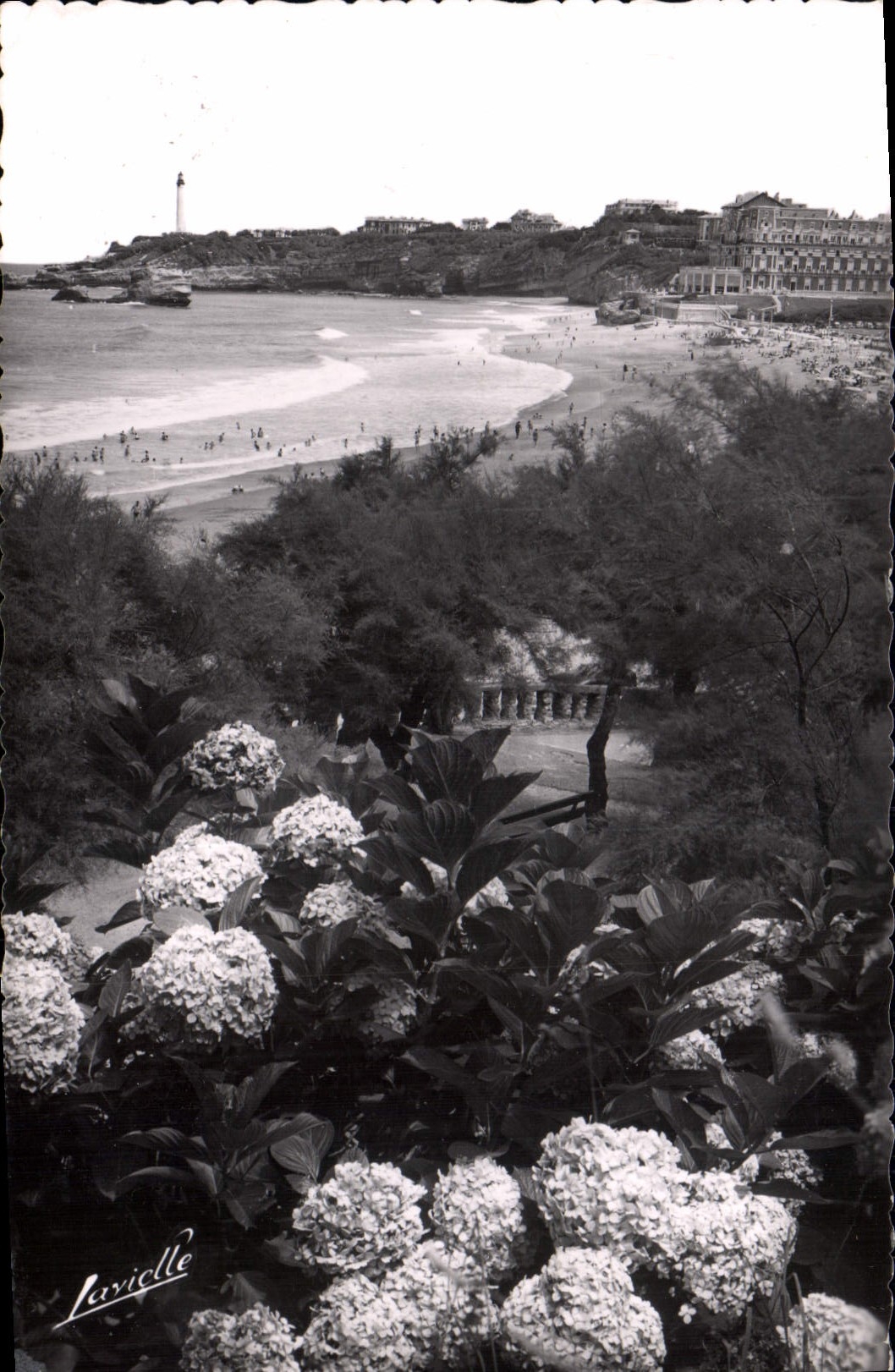 CPM Biarritz Les Hortensias et vue sur le Phare 