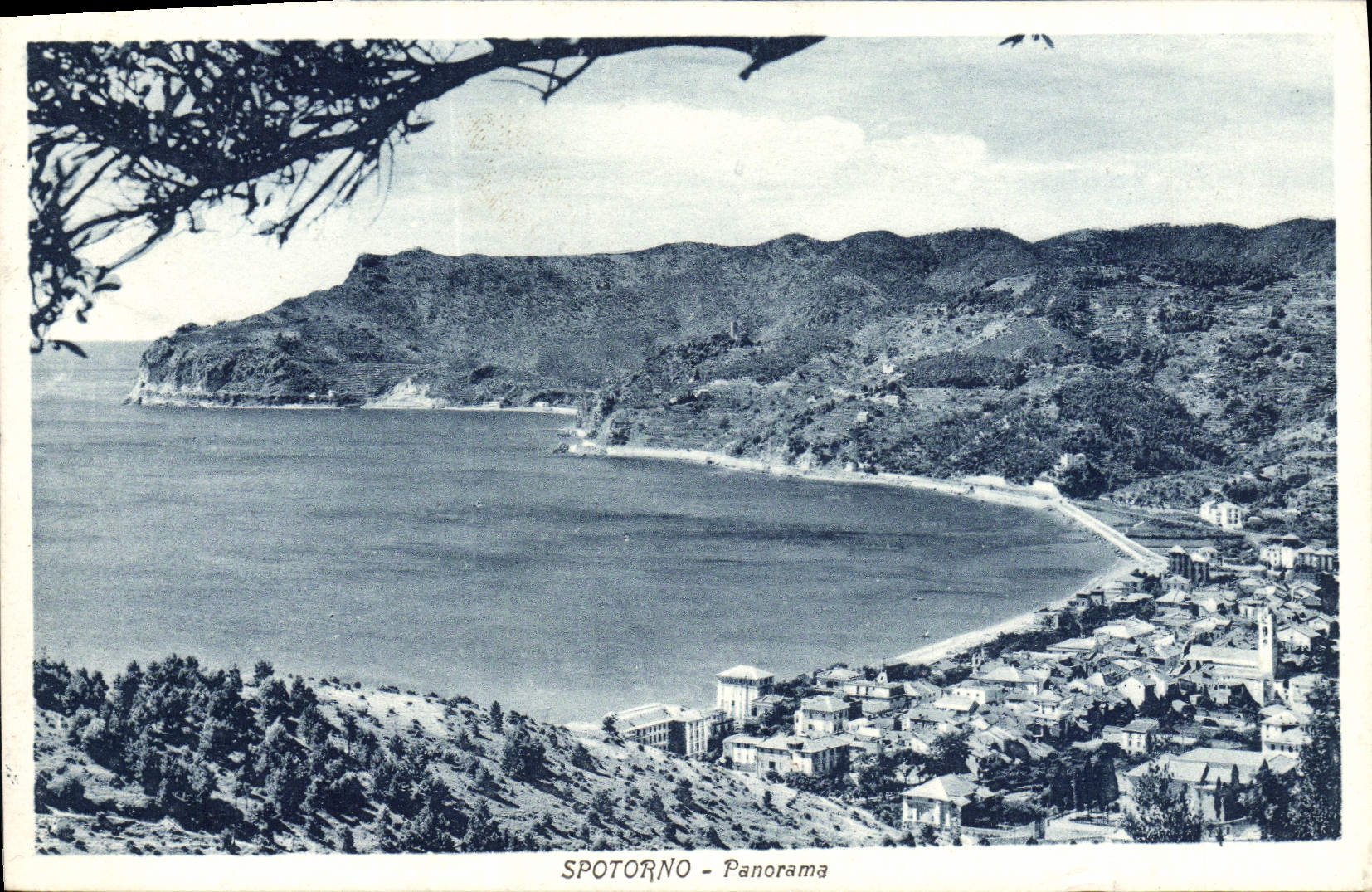 CPA Spotorno Panorama
