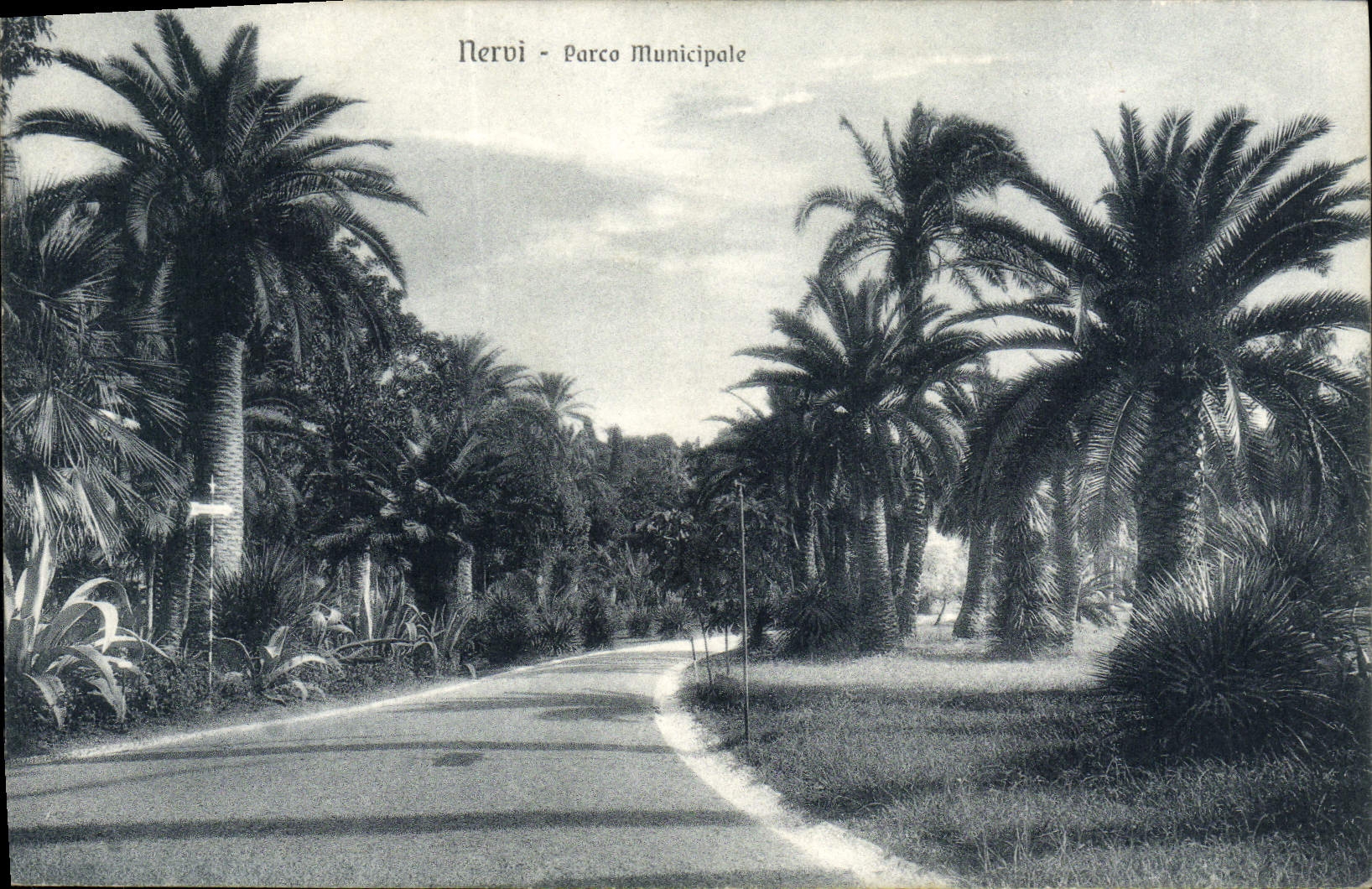 VINTAGE POSTCARD Parco Bully boy Municipal