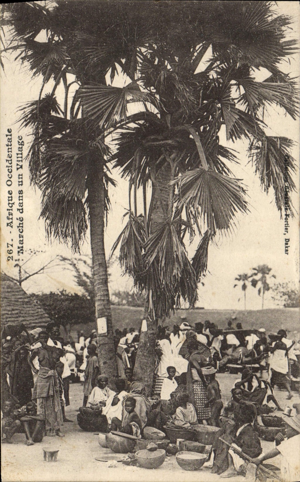 VINTAGE POSTCARD Africa Occidentale Goes In a Village