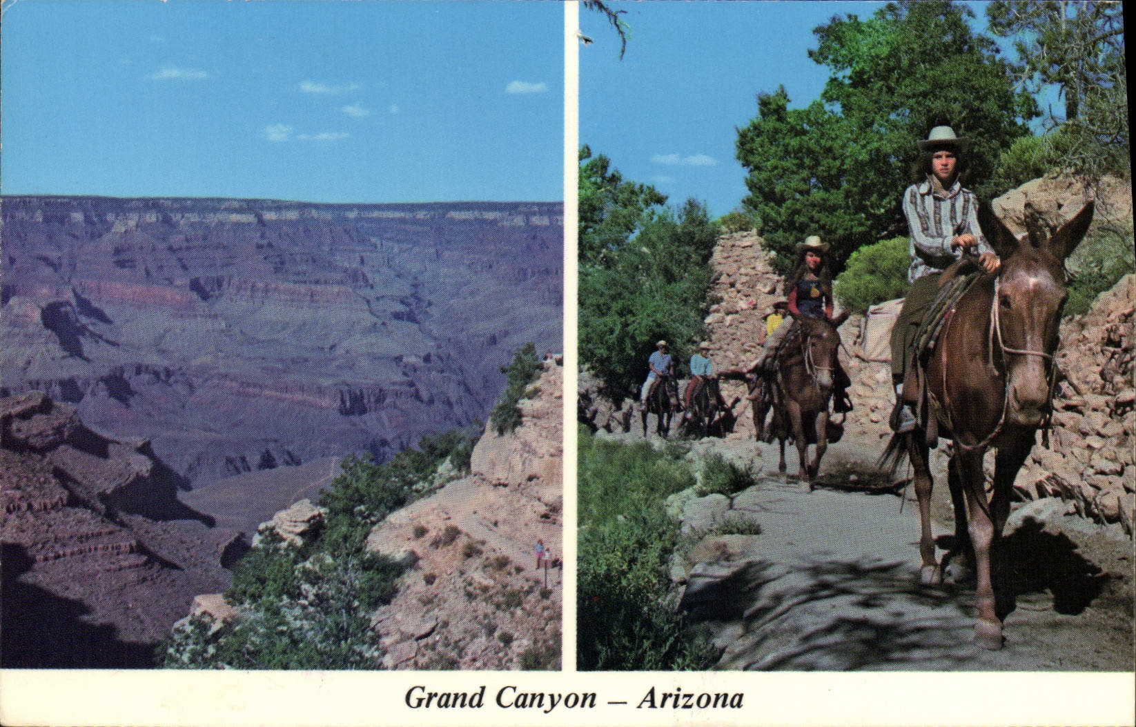MODERN CARD Large Canyon Arizona Horse