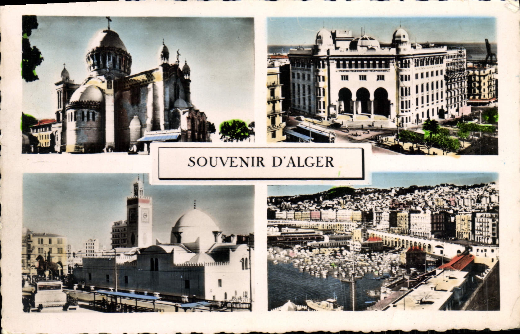 CPM Souvenir D'Alger