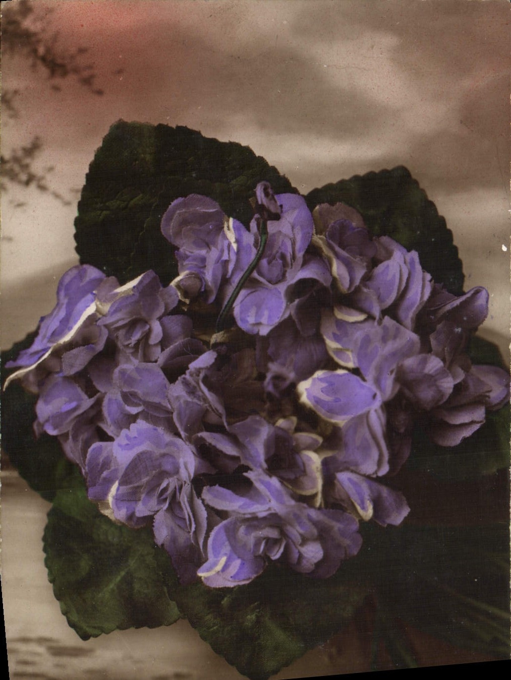 CPA Fantaisie Fleurs