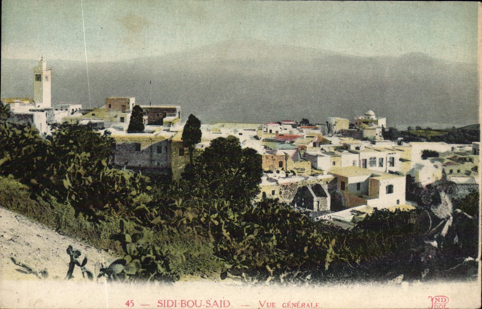 Opinión dicha de Sidi Bou de la POSTAL de la VENDIMIA