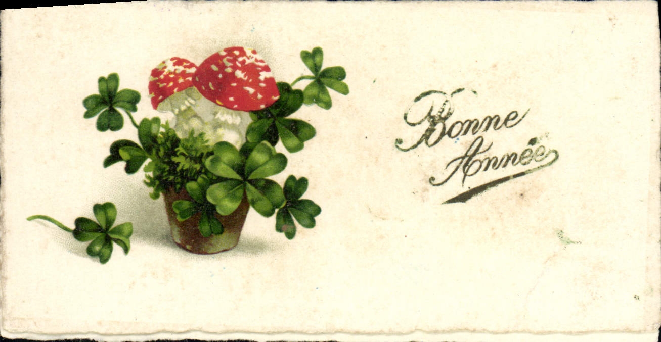 VINTAGE POSTCARD Fantasy Flowers Clover Mushroom