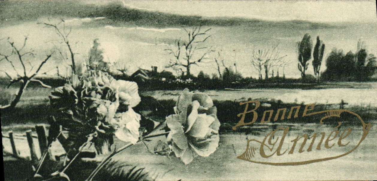 CPA Fantaisie Bonne annee