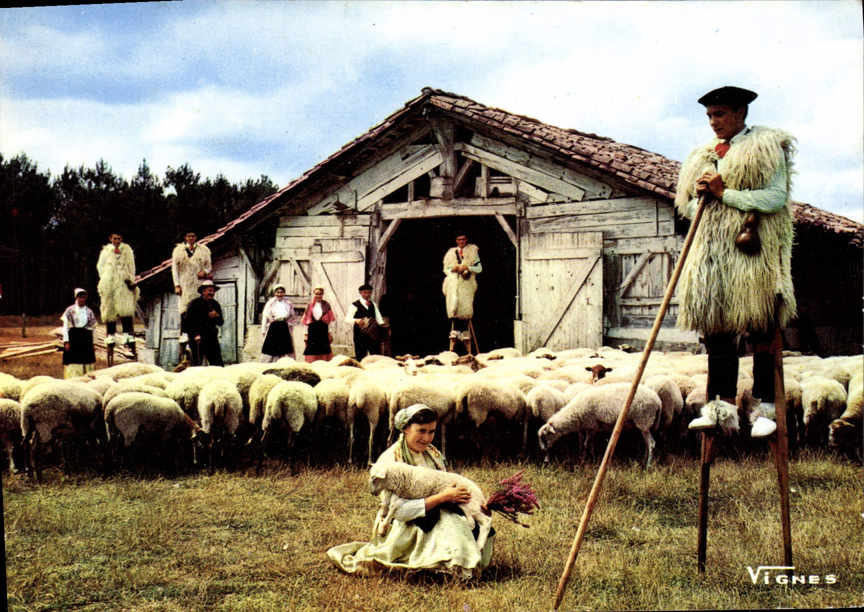 MODERN CARD Face Of the Moors pastoral Scene with Lous Becuts de Countis Folklore Sheep