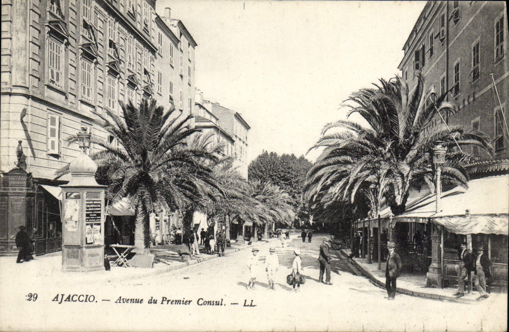 CPA Ajaccio Avenue du Premier Consul