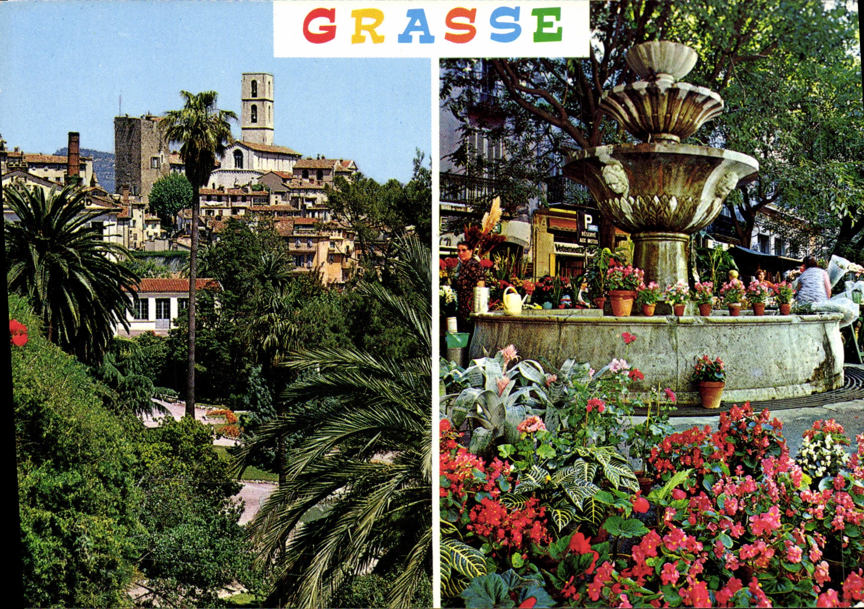 POSTAL MODERNA graso