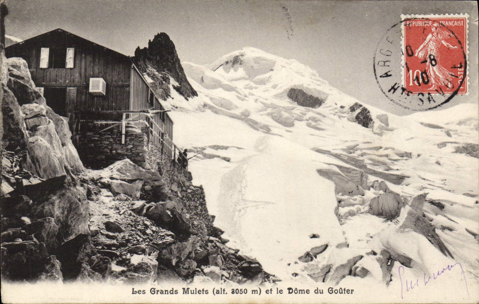 VINTAGE POSTCARD Large Mules and the Dome of Tasting