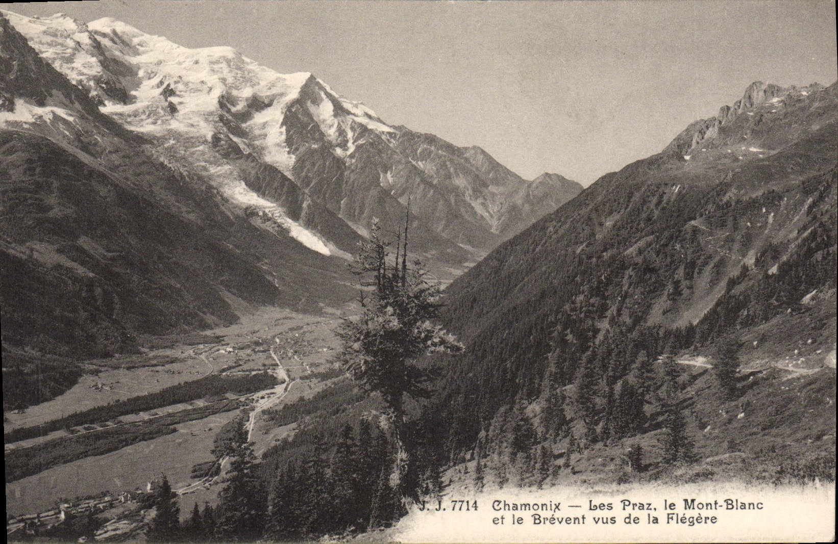 CPA Chamonix Les Prax Le Mont Blance et le Brevent vus de la Flegere 