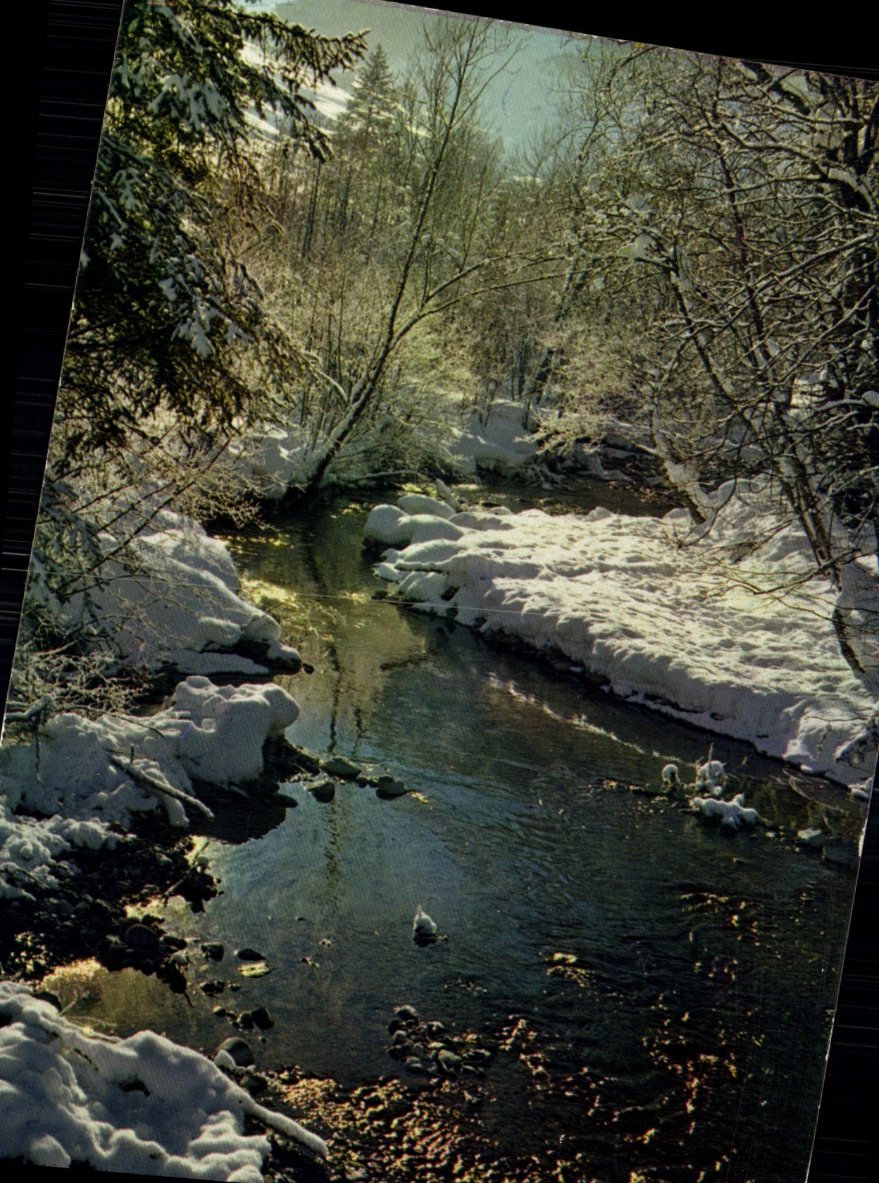 CPM Image de Nos Montagnes en Hiver Reflets sur le torrent 