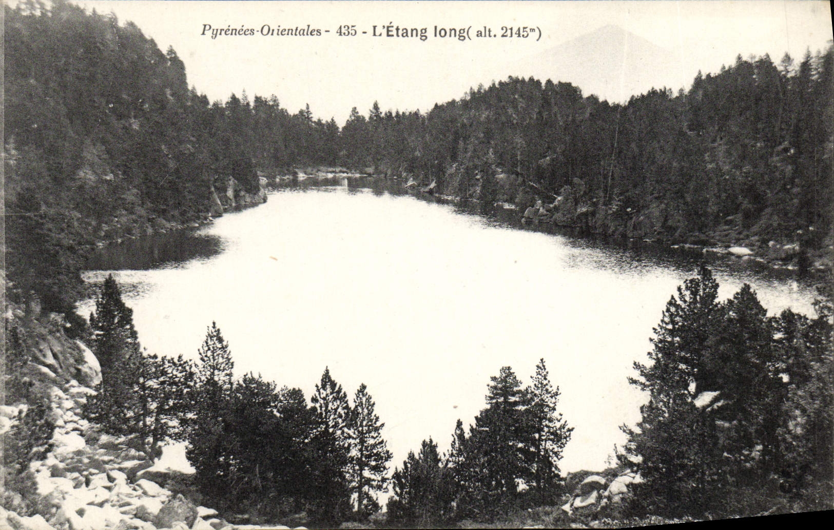 VINTAGE POSTCARD the Long Pond