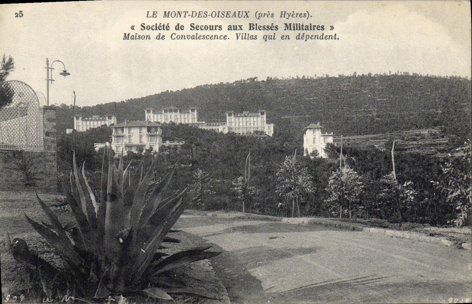 VINTAGE POSTCARD the Mount Of the Birds close Hyeres Societe of Help with Wound Military Convalescent home