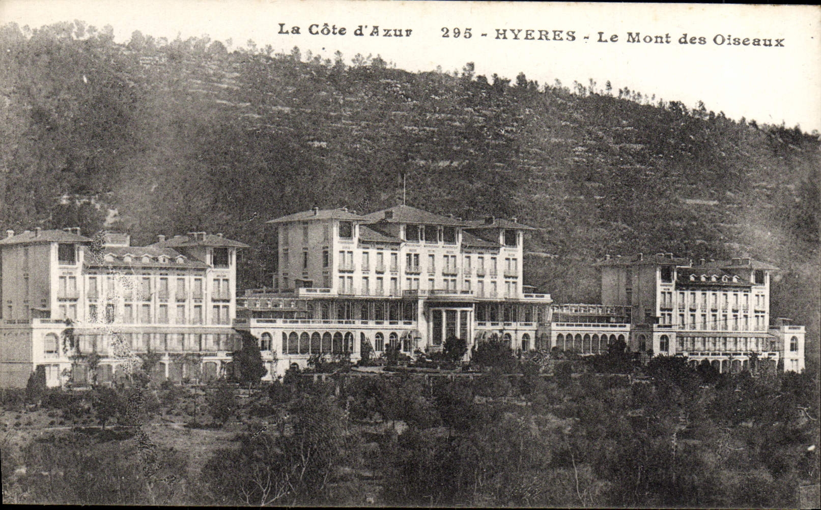 CPA Hyeres Le Mont des Oiseaux 