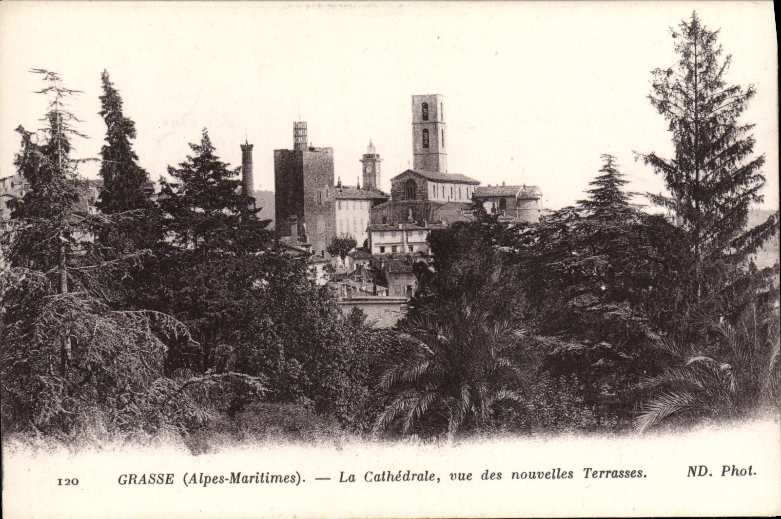 CPA Grasse La Cathedrale Vue des nouvelles Terrasses 