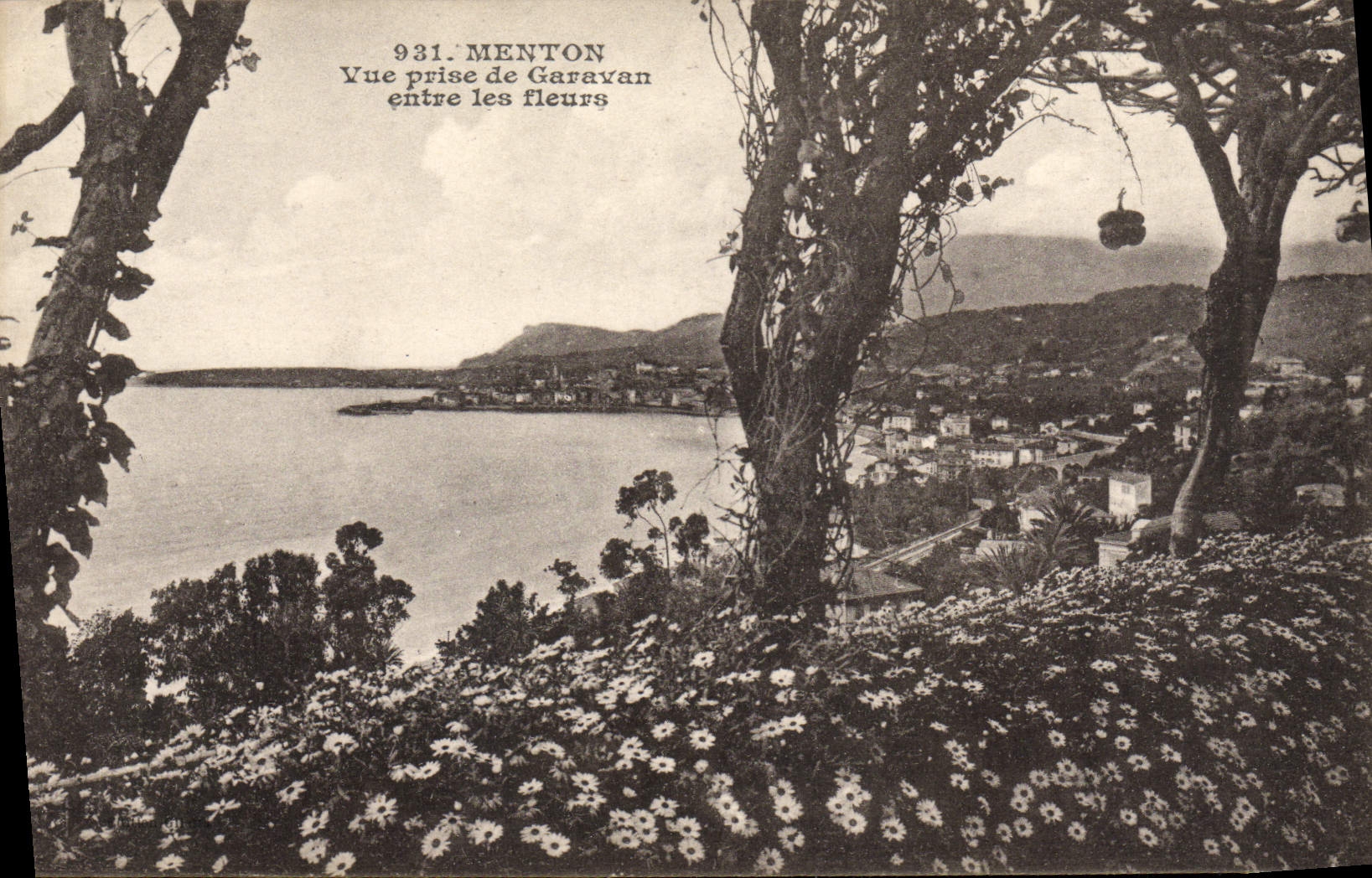 CPA Menton Vue prise de Garavan entre les fleurs 